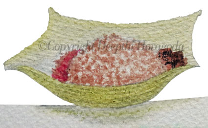 Watercolour illustration of an eco-friendly food wrapper known as a 'kolapatha'