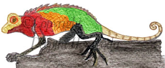 Mixed media illustration of a chameleon