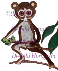 Mixed media illustration of a Sri Lankan loris on a branch