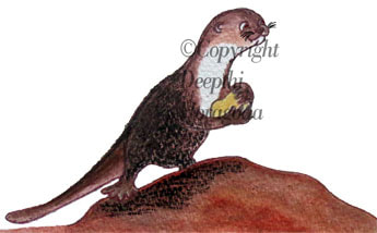 Mixed media illustration of an otter carrying a rock